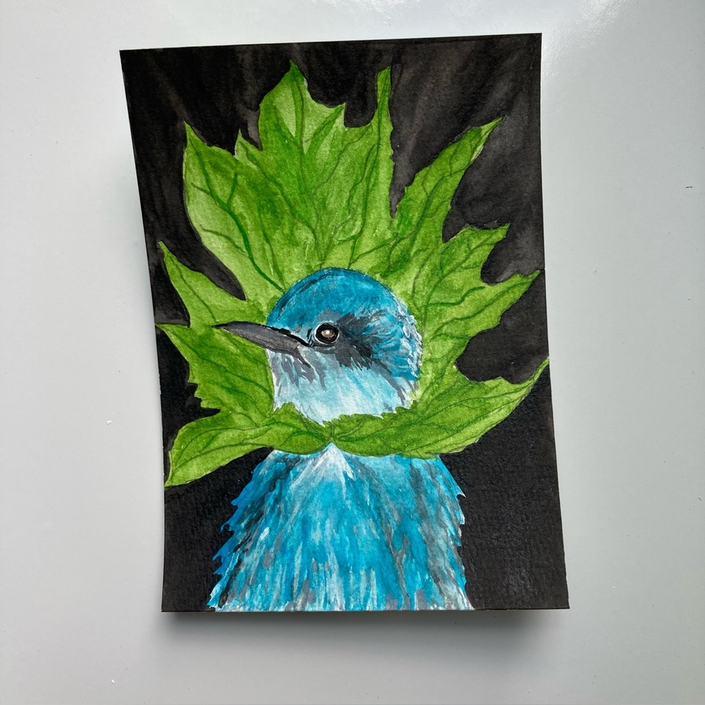 Watercolor Bird Art
